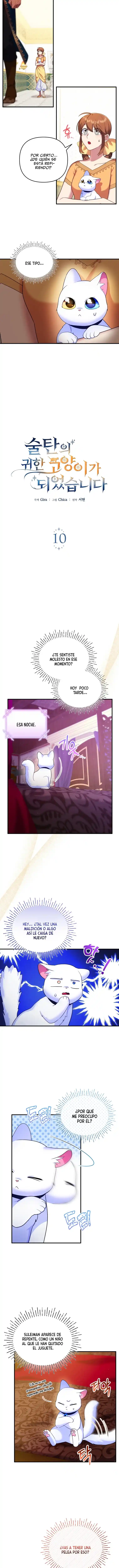 Me Convertí En La Preciosa Gata Del Sultán - Capítulo 10 - Página 7 - LectorTMOo