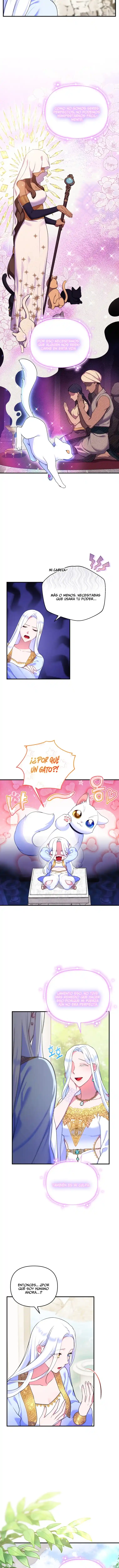 Me Convertí En La Preciosa Gata Del Sultán - Capítulo 11 - Página 7 - LectorTMOo