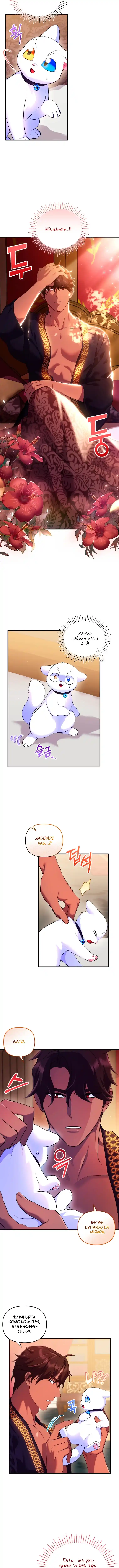 Me Convertí En La Preciosa Gata Del Sultán - Capítulo 14 - Página 7 - LectorTMOo