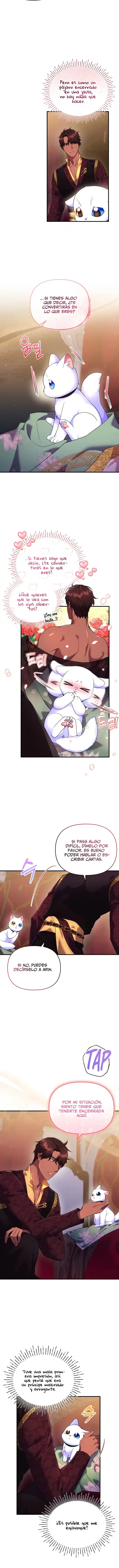 Me Convertí En La Preciosa Gata Del Sultán - Capítulo 17 - Página 14 - LectorTMOo