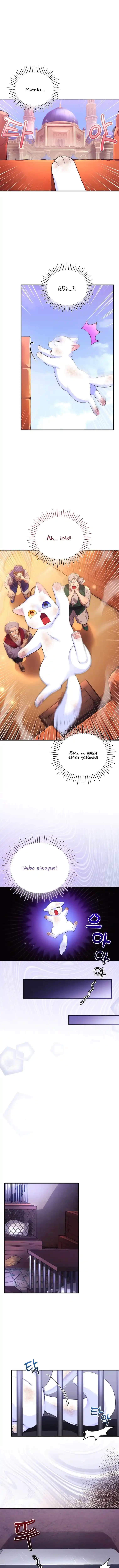 Me Convertí En La Preciosa Gata Del Sultán - Capítulo 2 - Página 6 - LectorTMOo