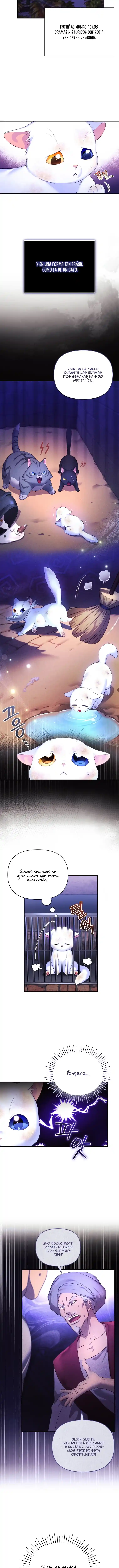 Me Convertí En La Preciosa Gata Del Sultán - Capítulo 2 - Página 10 - LectorTMOo