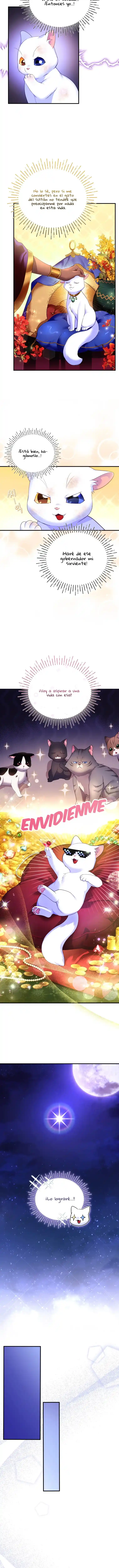Me Convertí En La Preciosa Gata Del Sultán - Capítulo 2 - Página 11 - LectorTMOo