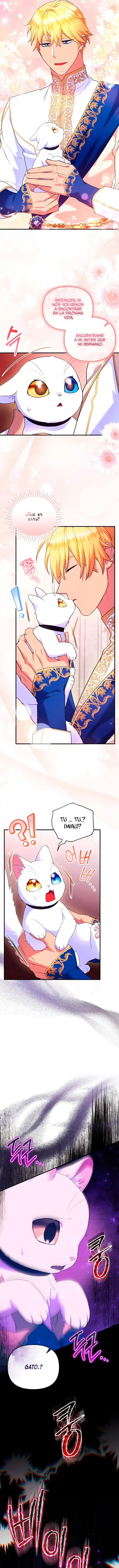Me Convertí En La Preciosa Gata Del Sultán - Capítulo 24 - Página 15 - LectorTMOo