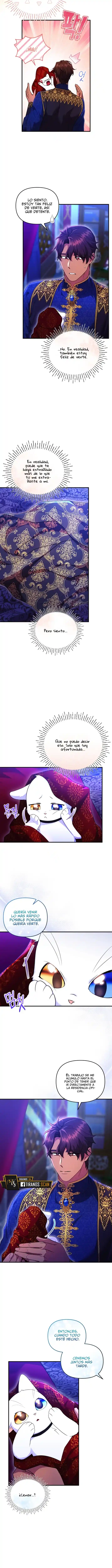 Me Convertí En La Preciosa Gata Del Sultán - Capítulo 26 - Página 9 - LectorTMOo