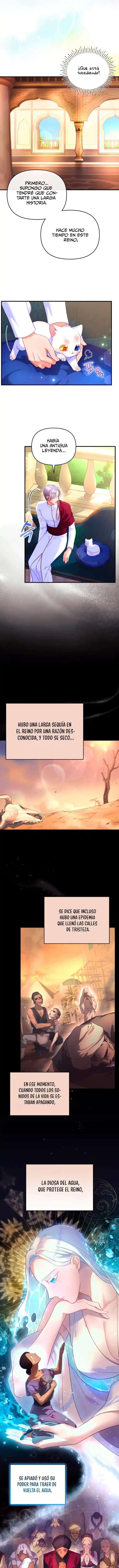 Me Convertí En La Preciosa Gata Del Sultán - Capítulo 3 - Página 8 - LectorTMOo