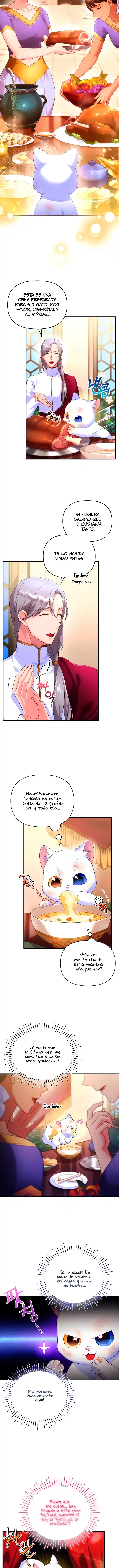 Me Convertí En La Preciosa Gata Del Sultán - Capítulo 3 - Página 14 - LectorTMOo