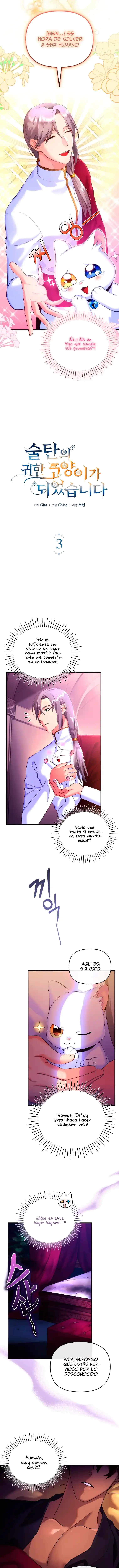 Me Convertí En La Preciosa Gata Del Sultán - Capítulo 3 - Página 19 - LectorTMOo