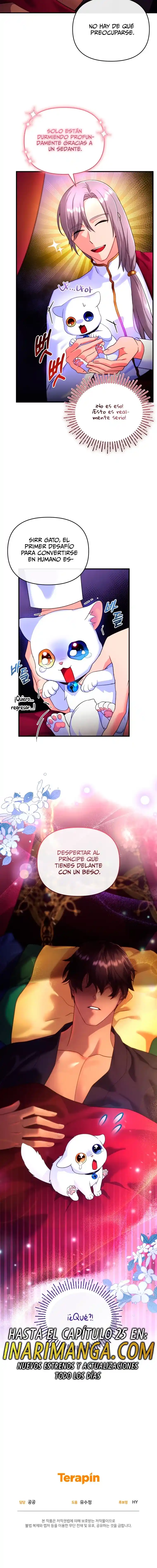 Me Convertí En La Preciosa Gata Del Sultán - Capítulo 3 - Página 20 - LectorTMOo