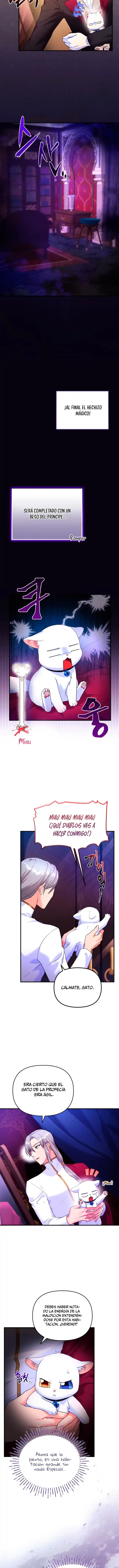 Me Convertí En La Preciosa Gata Del Sultán - Capítulo 4 - Página 7 - LectorTMOo