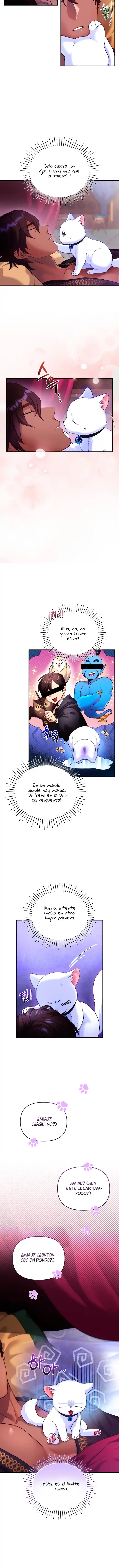 Me Convertí En La Preciosa Gata Del Sultán - Capítulo 4 - Página 12 - LectorTMOo