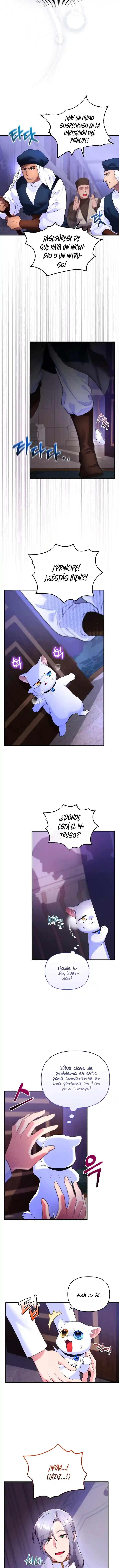 Me Convertí En La Preciosa Gata Del Sultán - Capítulo 5 - Página 10 - LectorTMOo