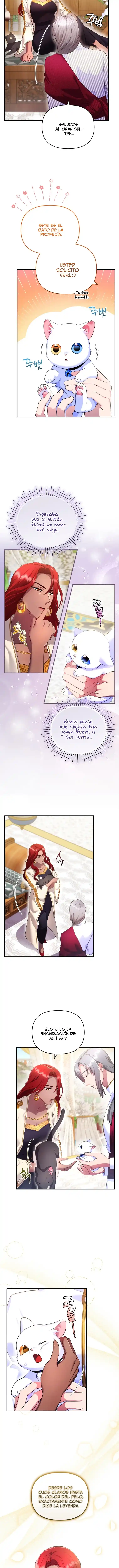 Me Convertí En La Preciosa Gata Del Sultán - Capítulo 5 - Página 15 - LectorTMOo