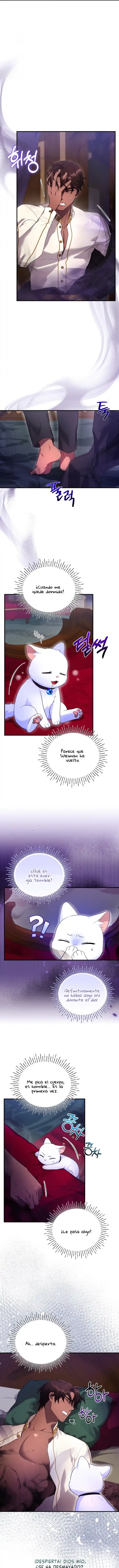 Me Convertí En La Preciosa Gata Del Sultán - Capítulo 6 - Página 15 - LectorTMOo