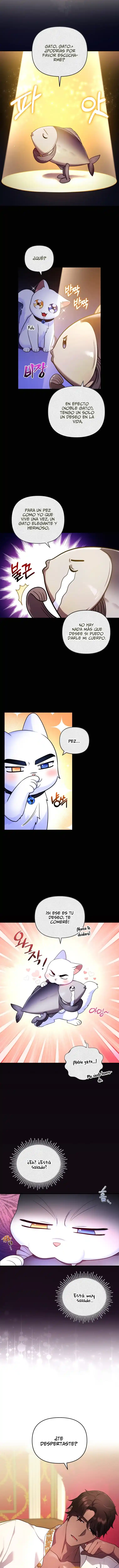 Me Convertí En La Preciosa Gata Del Sultán - Capítulo 7 - Página 9 - LectorTMOo