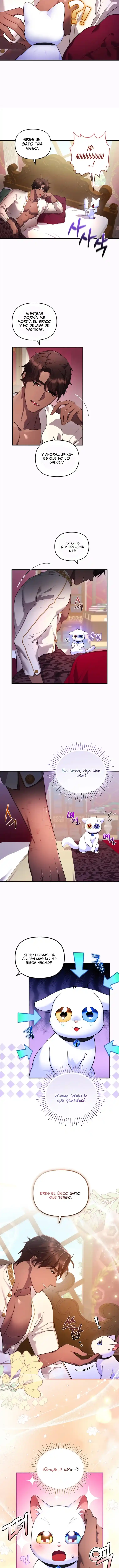 Me Convertí En La Preciosa Gata Del Sultán - Capítulo 7 - Página 10 - LectorTMOo