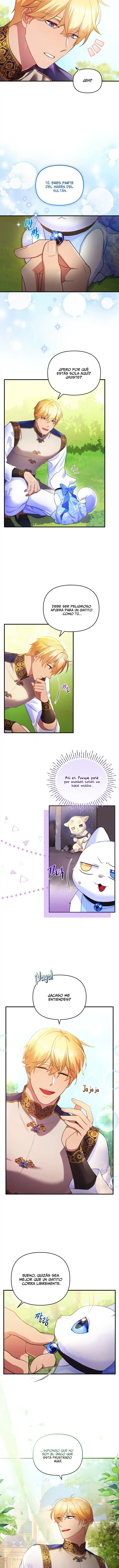 Me Convertí En La Preciosa Gata Del Sultán - Capítulo 8 - Página 7 - LectorTMOo