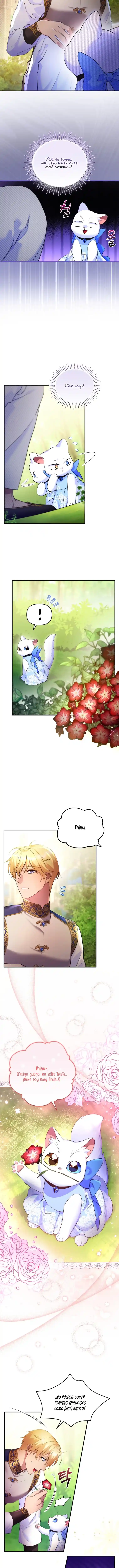 Me Convertí En La Preciosa Gata Del Sultán - Capítulo 8 - Página 8 - LectorTMOo