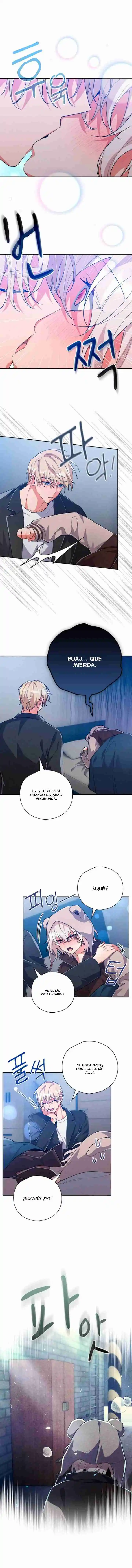 Me Escape Del Cazador - Capítulo 29 - Página 5 - LectorTMOo
