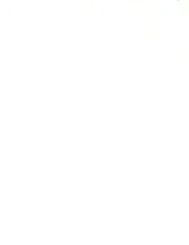 Me Haré Responsable Del Bienestar De Mi Esposo - Capítulo 29 - Página 17 - LectorTMOo