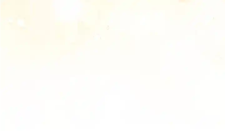 Me Haré Responsable Del Bienestar De Mi Esposo - Capítulo 63 - Página 44 - LectorTMOo