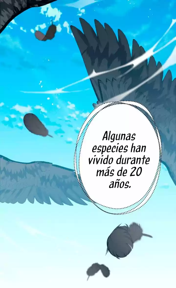 ME HE CONVERTIDO EN UN CUERVO - Capítulo 31 - Página 31 - LectorTMOo