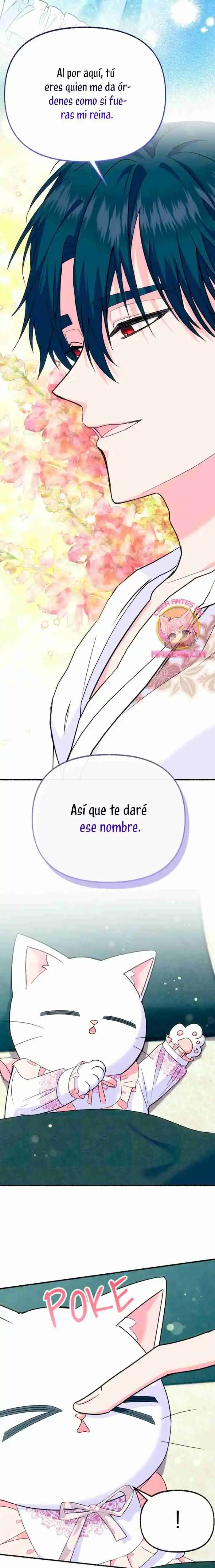 Me Volví Una Gata Que Duerme Con Un Tirano Obsesivo Todas Las Noches - Capítulo 10 - Página 24 - LectorTMOo