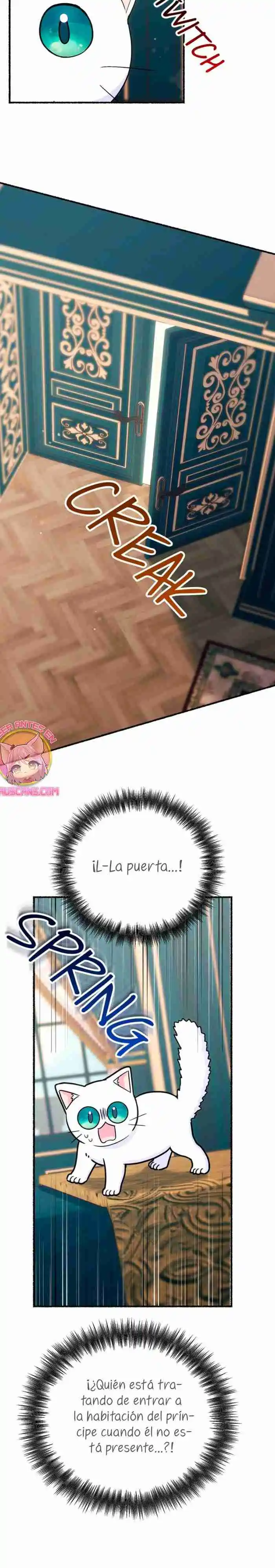 Me Volví Una Gata Que Duerme Con Un Tirano Obsesivo Todas Las Noches - Capítulo 11 - Página 11 - LectorTMOo