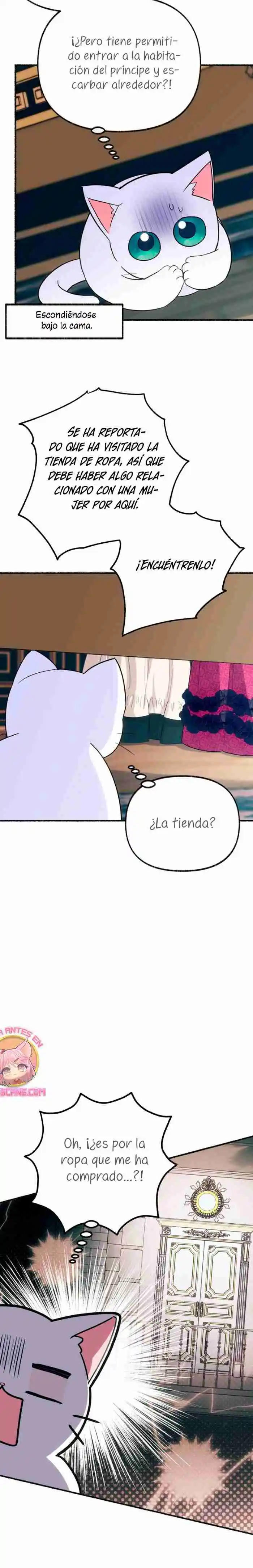 Me Volví Una Gata Que Duerme Con Un Tirano Obsesivo Todas Las Noches - Capítulo 11 - Página 13 - LectorTMOo