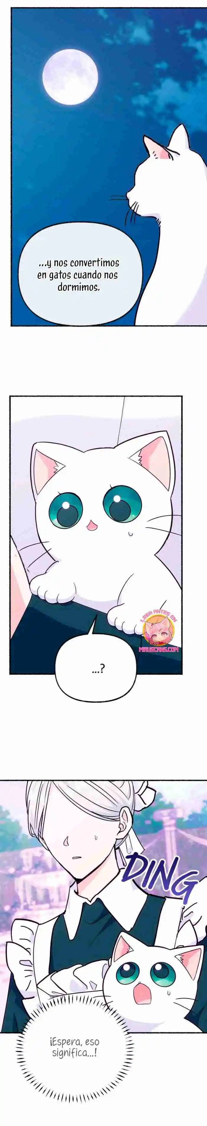 Me Volví Una Gata Que Duerme Con Un Tirano Obsesivo Todas Las Noches - Capítulo 13 - Página 34 - LectorTMOo