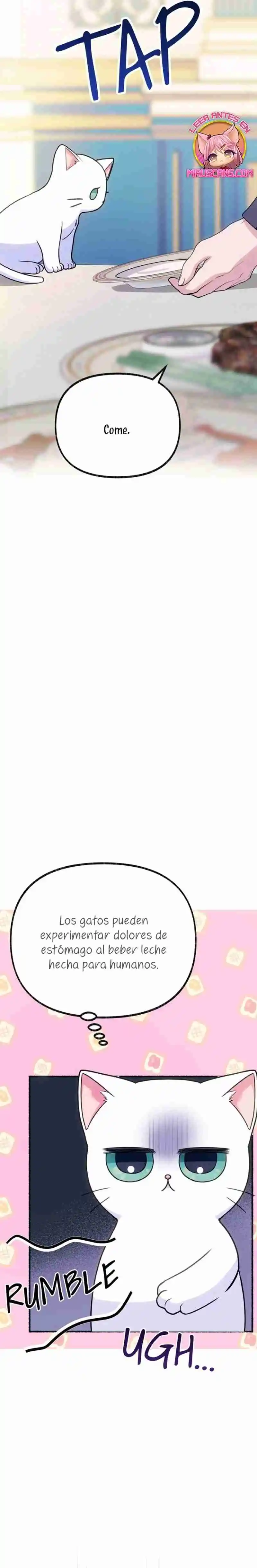 Me Volví Una Gata Que Duerme Con Un Tirano Obsesivo Todas Las Noches - Capítulo 2 - Página 13 - LectorTMOo