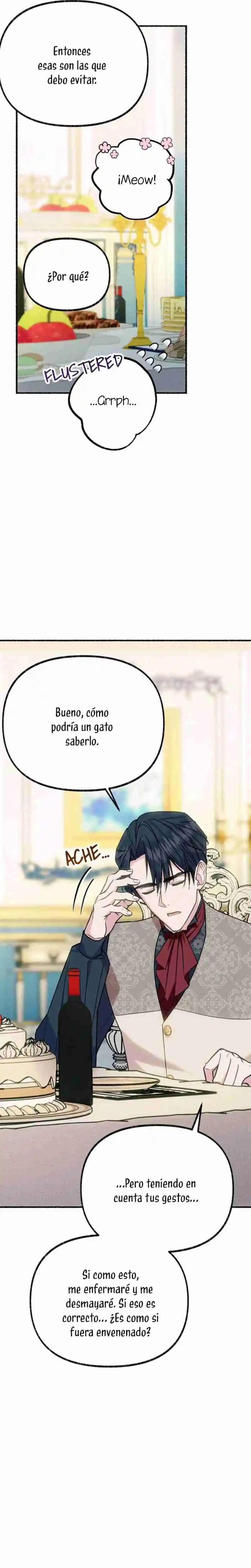 Me Volví Una Gata Que Duerme Con Un Tirano Obsesivo Todas Las Noches - Capítulo 3 - Página 14 - LectorTMOo