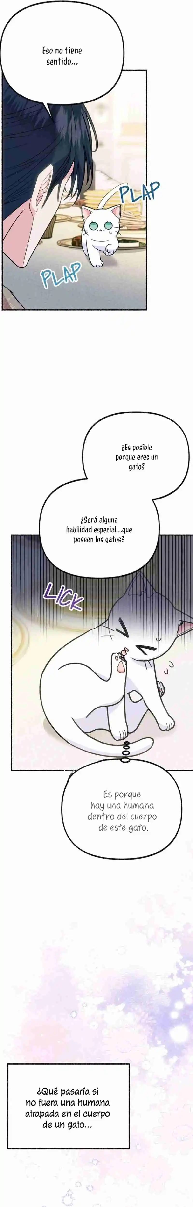 Me Volví Una Gata Que Duerme Con Un Tirano Obsesivo Todas Las Noches - Capítulo 3 - Página 15 - LectorTMOo