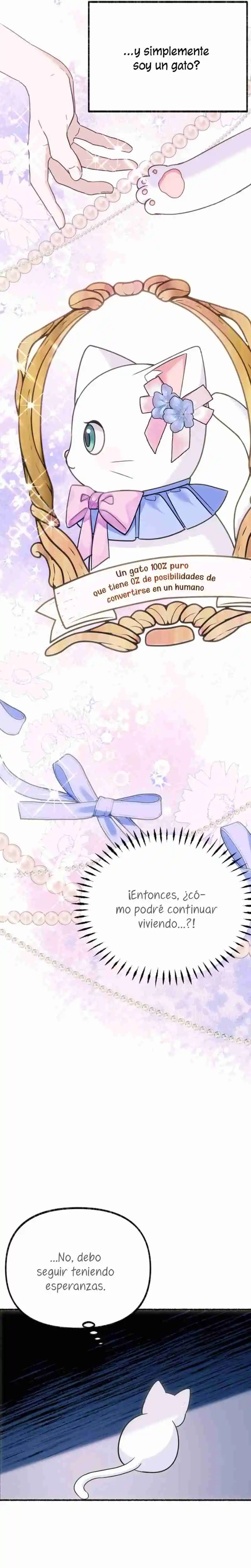 Me Volví Una Gata Que Duerme Con Un Tirano Obsesivo Todas Las Noches - Capítulo 3 - Página 16 - LectorTMOo