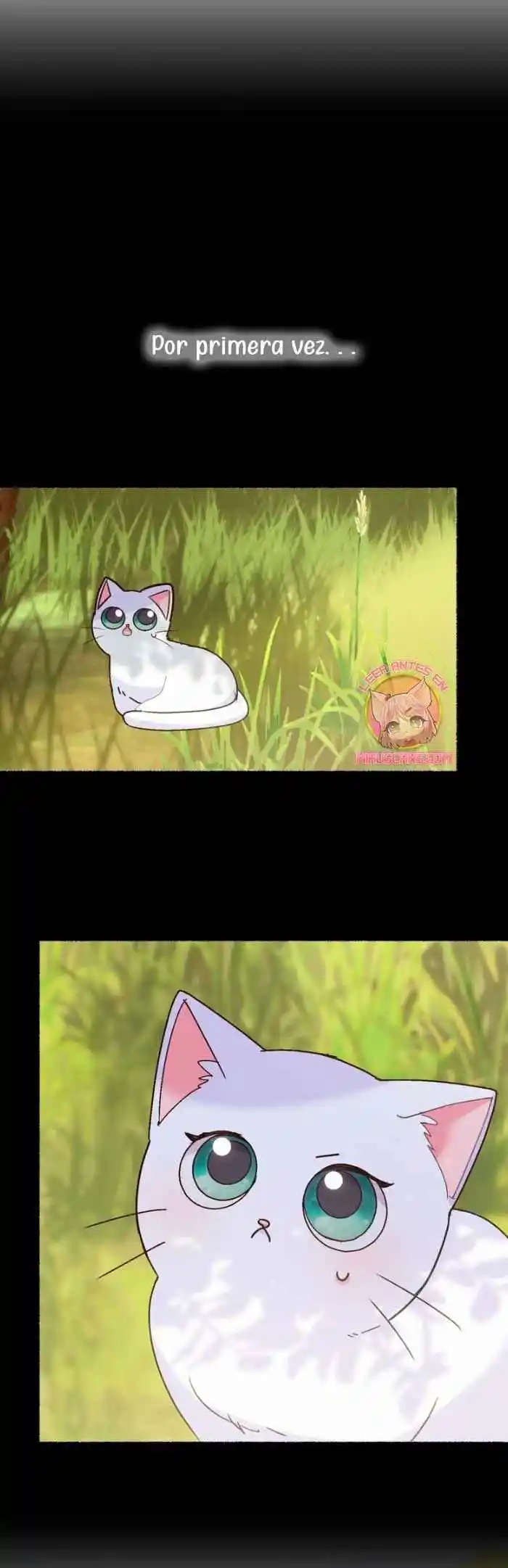 Me Volví Una Gata Que Duerme Con Un Tirano Obsesivo Todas Las Noches - Capítulo 4 - Página 10 - LectorTMOo