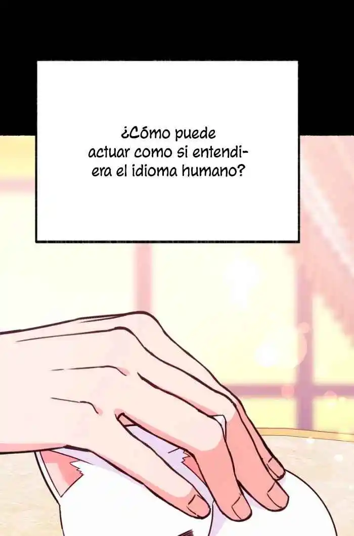 Me Volví Una Gata Que Duerme Con Un Tirano Obsesivo Todas Las Noches - Capítulo 4 - Página 17 - LectorTMOo