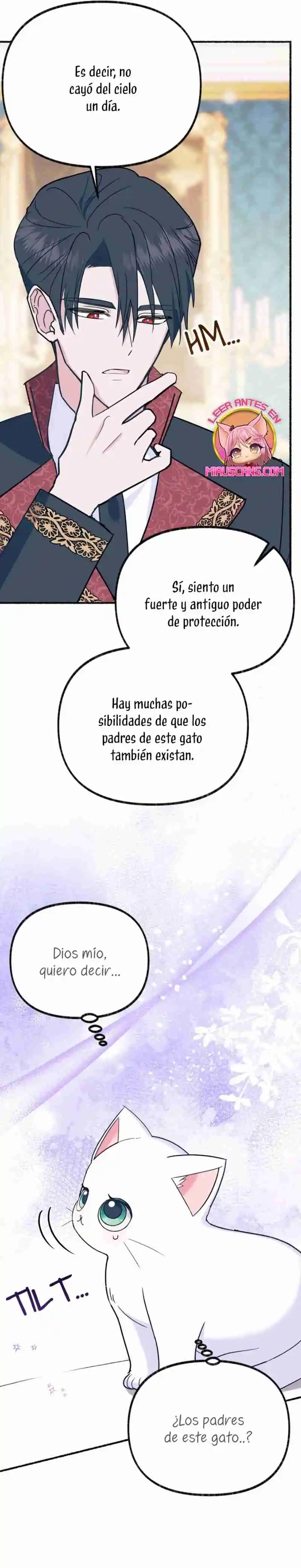 Me Volví Una Gata Que Duerme Con Un Tirano Obsesivo Todas Las Noches - Capítulo 7 - Página 28 - LectorTMOo
