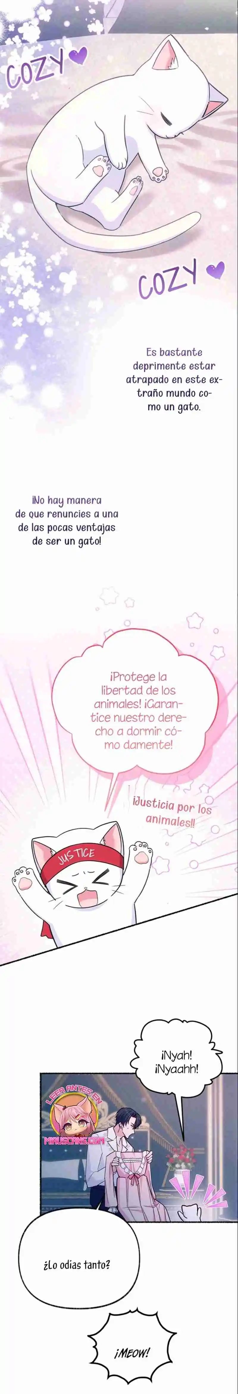 Me Volví Una Gata Que Duerme Con Un Tirano Obsesivo Todas Las Noches - Capítulo 8 - Página 30 - LectorTMOo