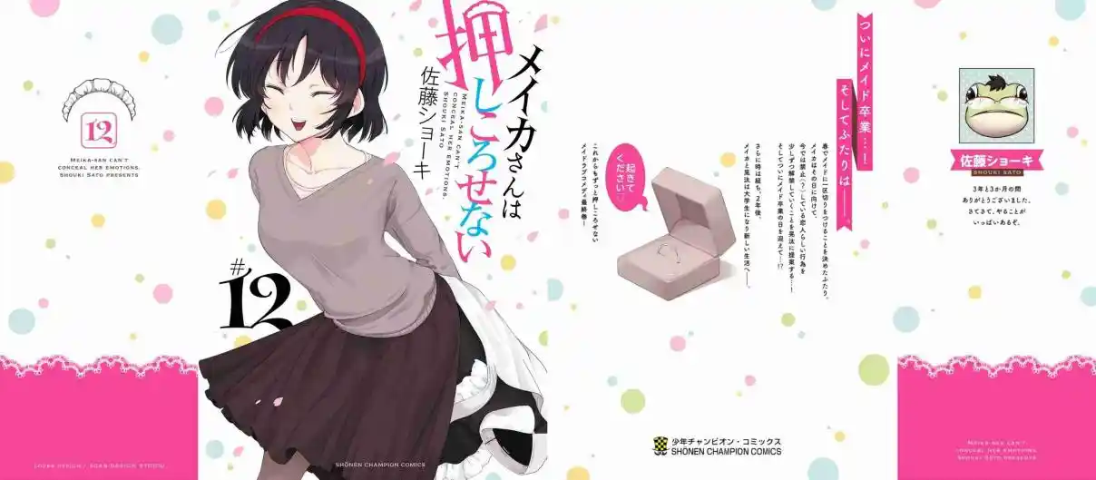 Meika-san Wa Oshikorosenai - Capítulo 153.5 - Página 10 - LectorTMOo