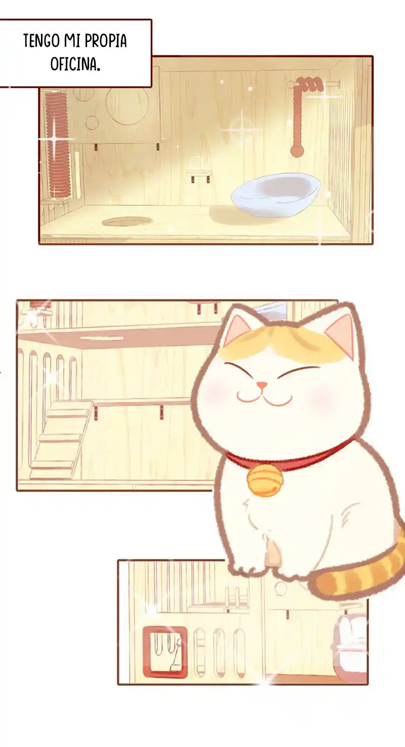 Meow Bell - Capítulo 1 - Página 5 - LectorTMOo