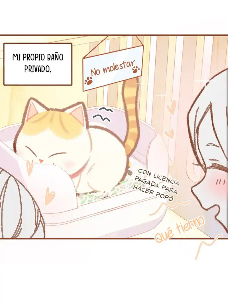Meow Bell - Capítulo 1 - Página 6 - LectorTMOo