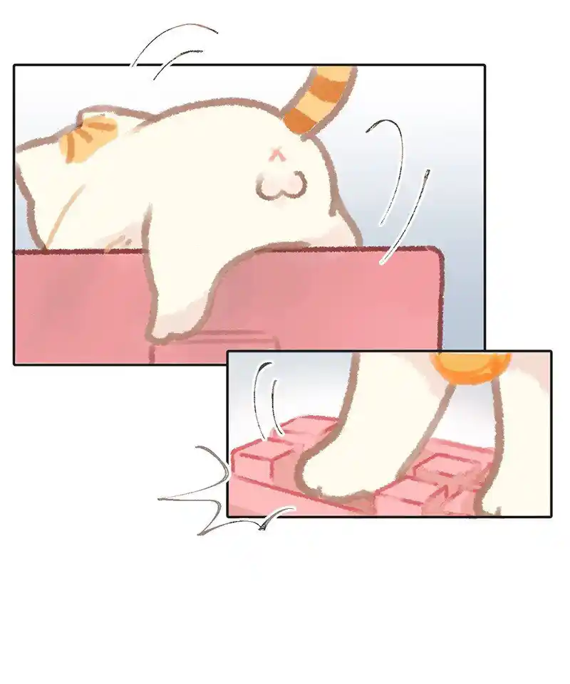 Meow Bell - Capítulo 2 - Página 5 - LectorTMOo