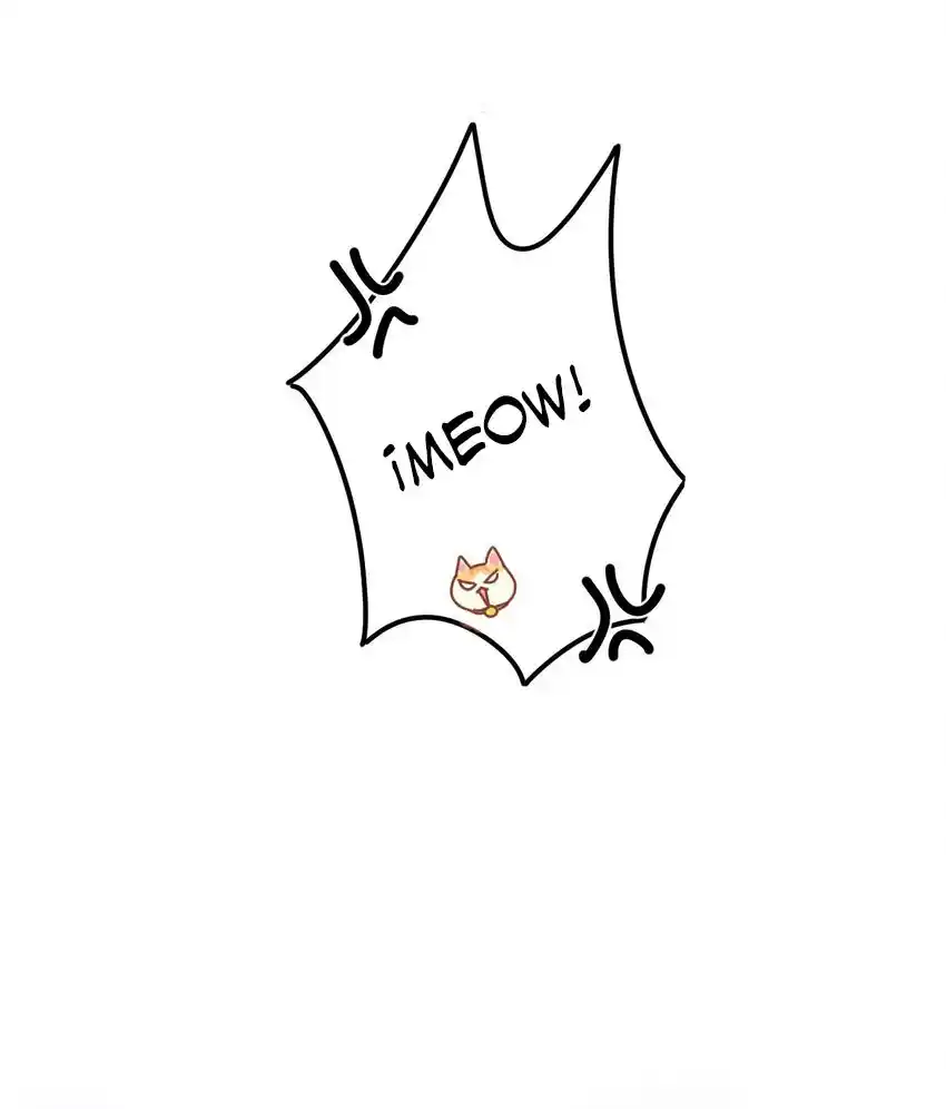 Meow Bell - Capítulo 2 - Página 13 - LectorTMOo