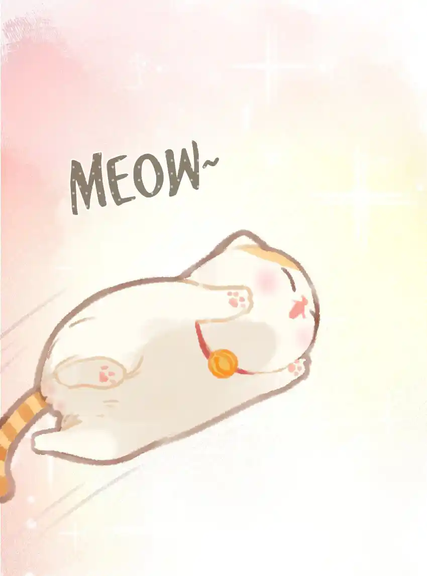 Meow Bell - Capítulo 2 - Página 16 - LectorTMOo