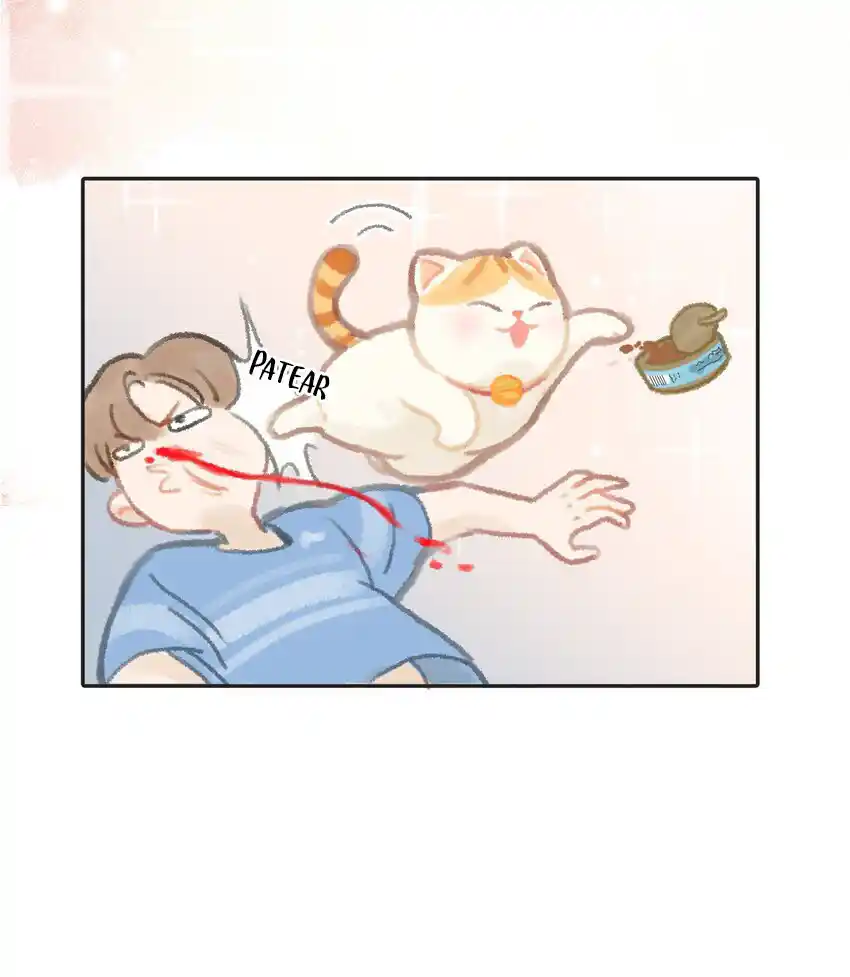 Meow Bell - Capítulo 2 - Página 17 - LectorTMOo