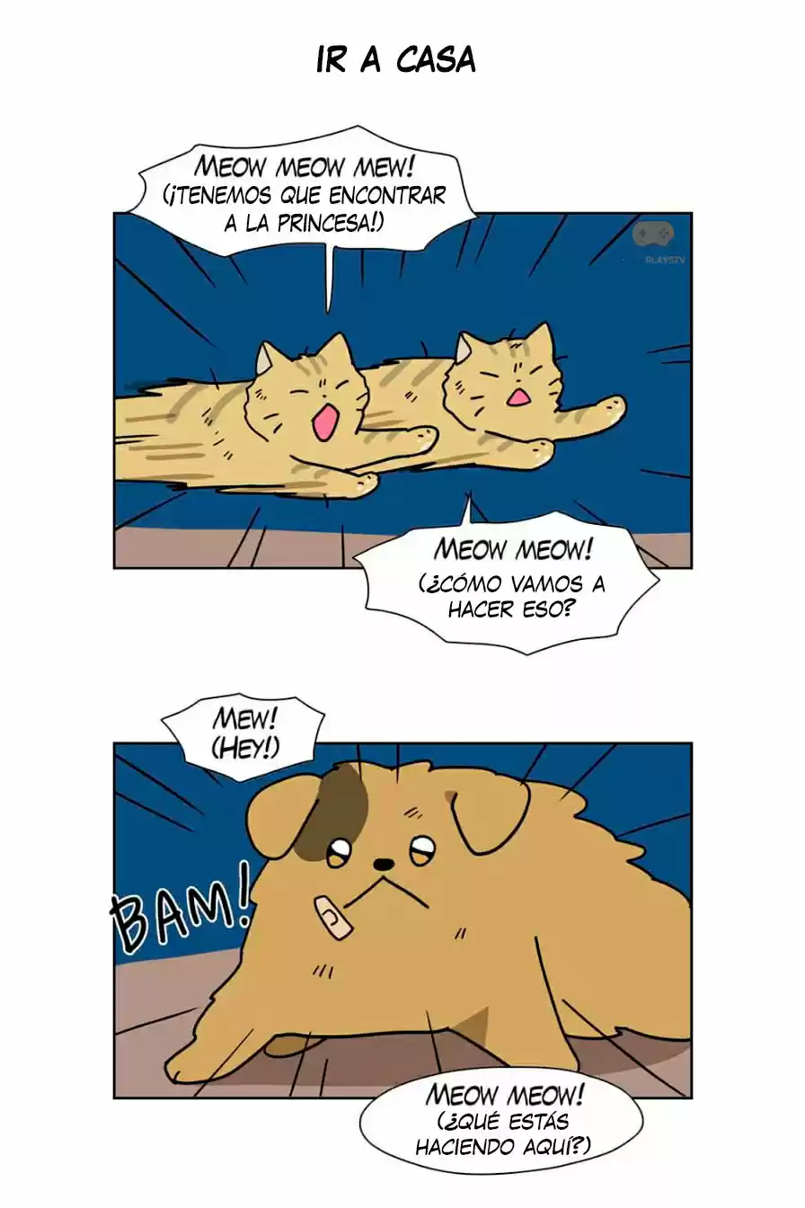 Meow Man - Capítulo 64 - Página 21 - LectorTMOo