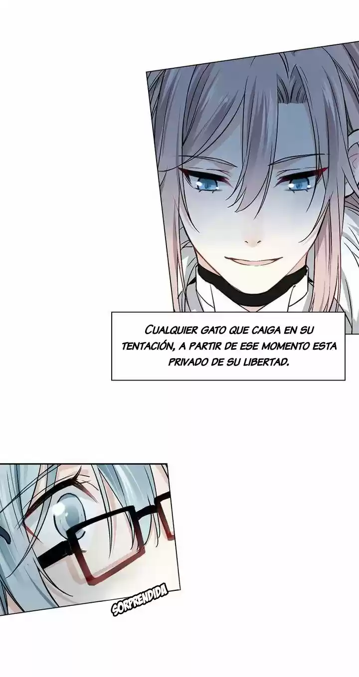 Meow! Please Help, Manager! - Capítulo 22 - Página 25 - LectorTMOo
