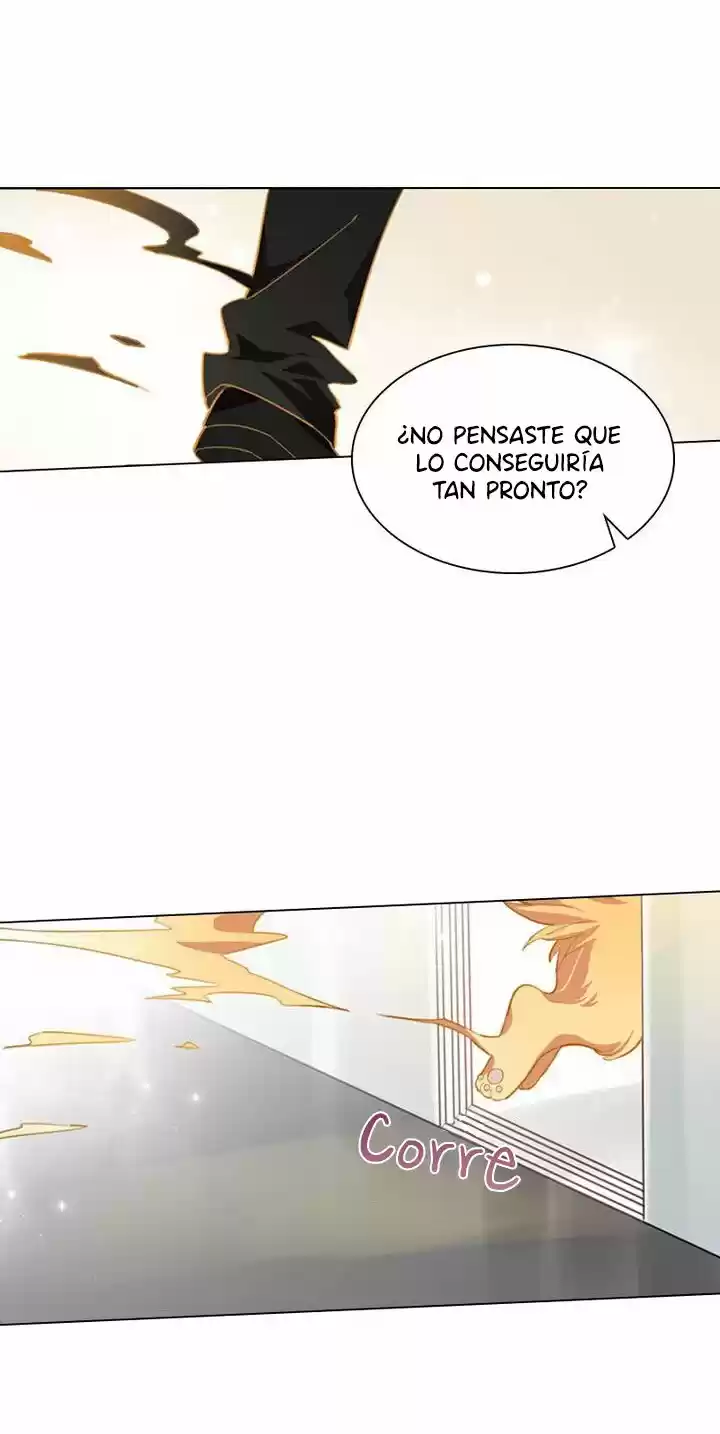 Meow! Please Help, Manager! - Capítulo 26 - Página 51 - LectorTMOo