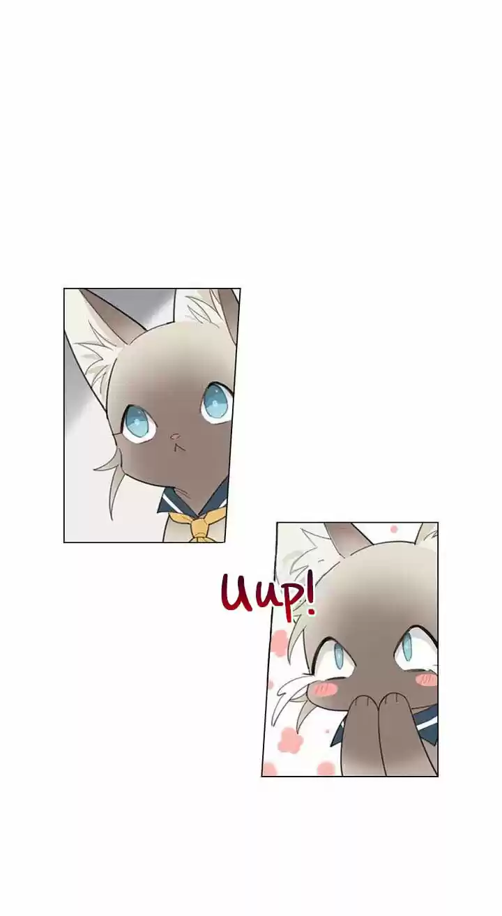 Meow! Please Help, Manager! - Capítulo 31 - Página 46 - LectorTMOo