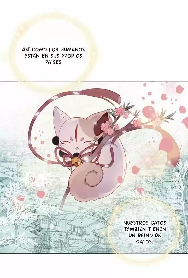 Meow! Please Help, Manager! - Capítulo 36 - Página 55 - LectorTMOo